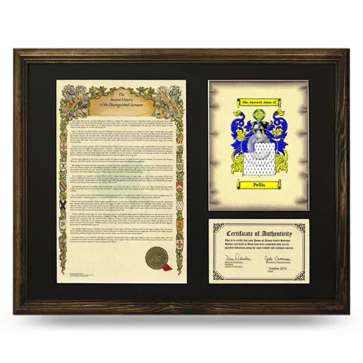 Pellis Framed Surname History and Coat of Arms - Brown