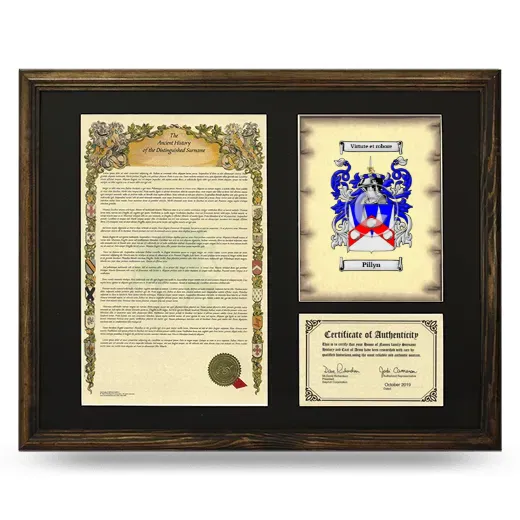 Pillyn Framed Surname History and Coat of Arms - Brown