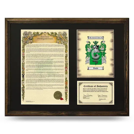 Prado Framed Surname History and Coat of Arms - Brown