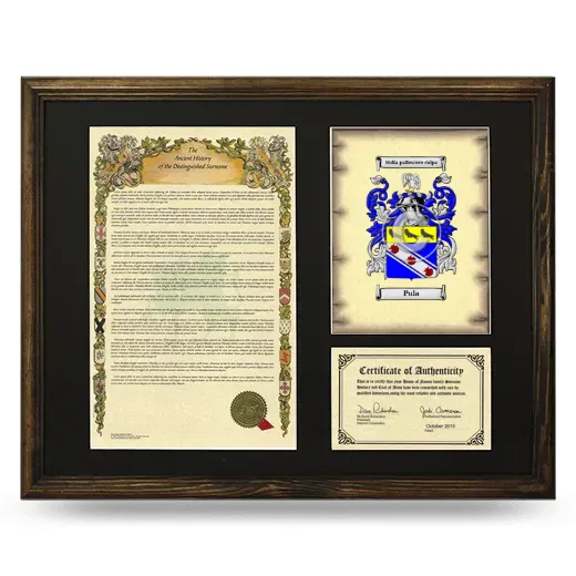 Pula Framed Surname History and Coat of Arms - Brown