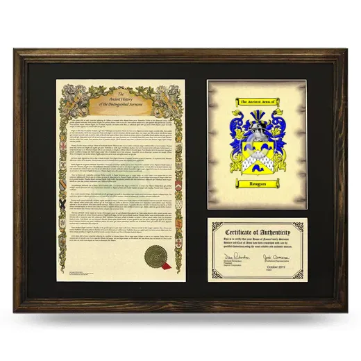 Reagan Framed Surname History and Coat of Arms - Brown