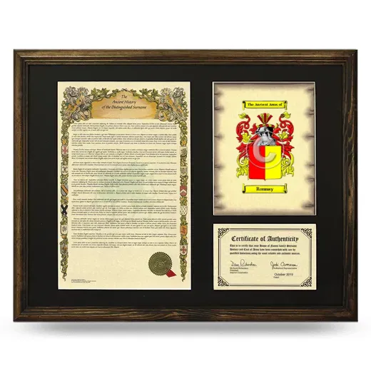 Ronnay Framed Surname History and Coat of Arms - Brown