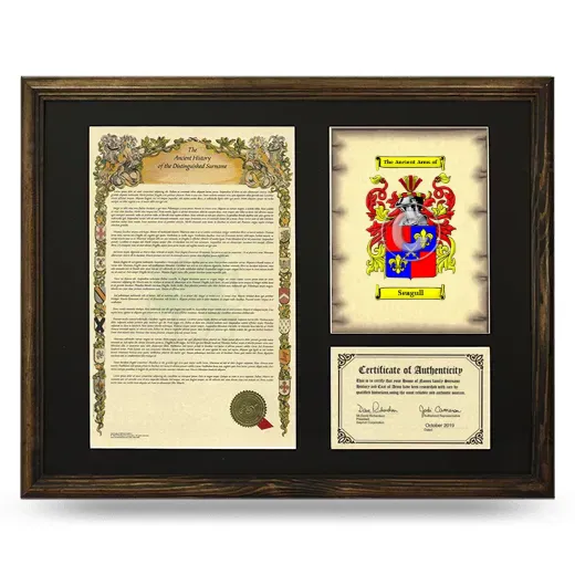 Seagull Framed Surname History and Coat of Arms - Brown