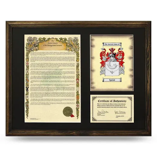 Sprint Framed Surname History and Coat of Arms - Brown