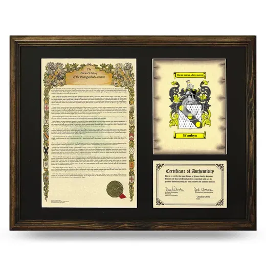 St'aubyn Framed Surname History and Coat of Arms - Brown
