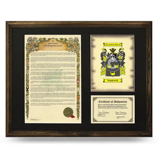 Stankovich Framed Surname History and Coat of Arms - Brown