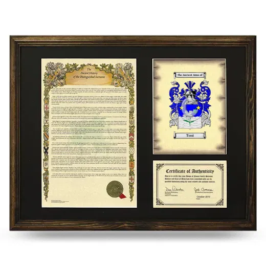 Toni Framed Surname History and Coat of Arms - Brown