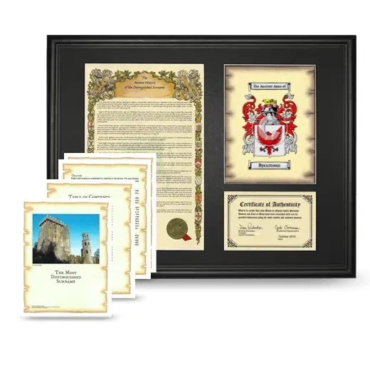 Bycartoun Framed History And Complete History- Black