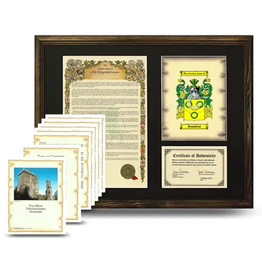 Brandoni Framed History And Complete History- Brown