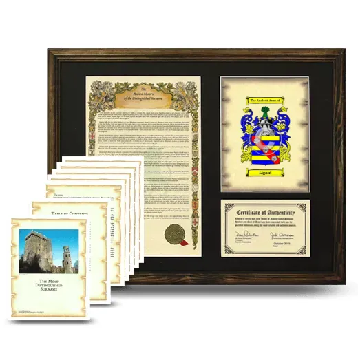 Ligant Framed History And Complete History- Brown