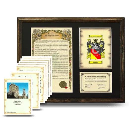 Mendel Framed History And Complete History- Brown