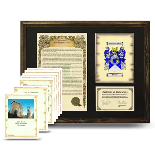 Stefen Framed History And Complete History- Brown