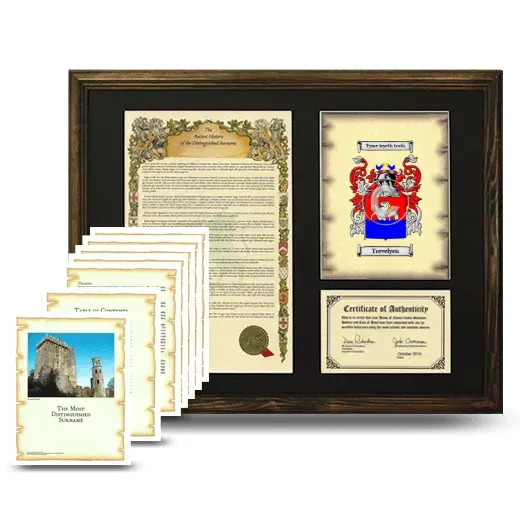 Trevelyen Framed History And Complete History- Brown
