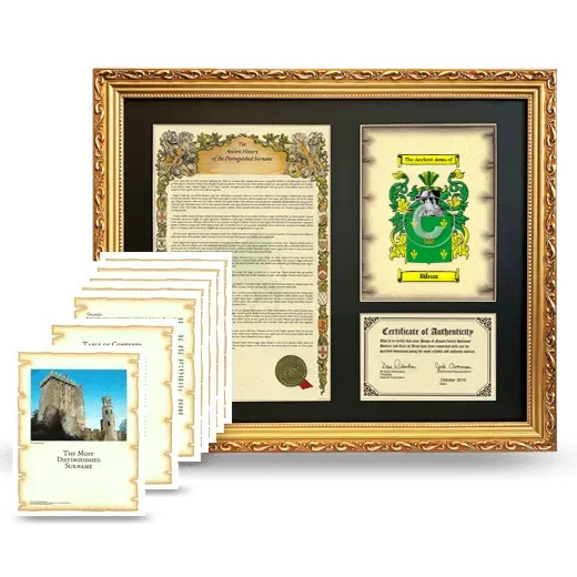 Bihun Framed History And Complete History - Gold