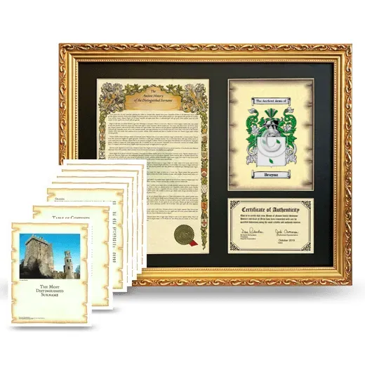 Bruynz Framed History And Complete History - Gold