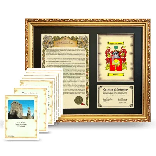 Hensil Framed History And Complete History - Gold