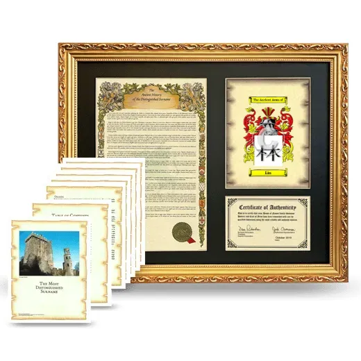 Lin Framed History And Complete History - Gold