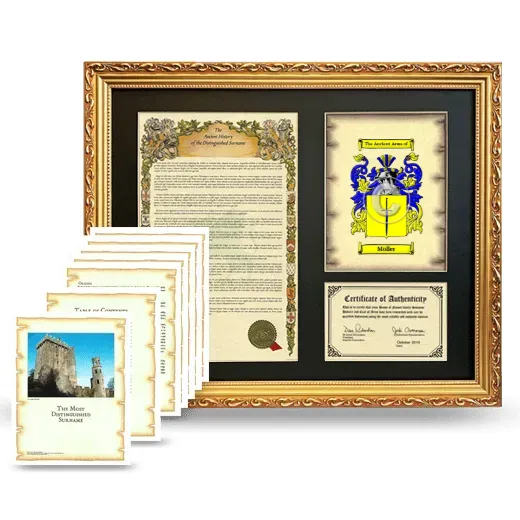 Möller Framed History And Complete History - Gold