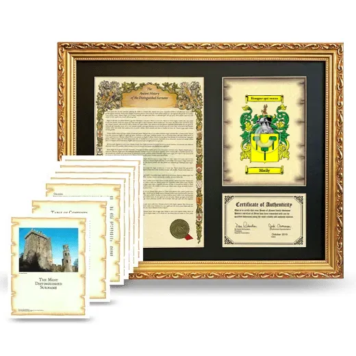 Maily Framed History And Complete History - Gold