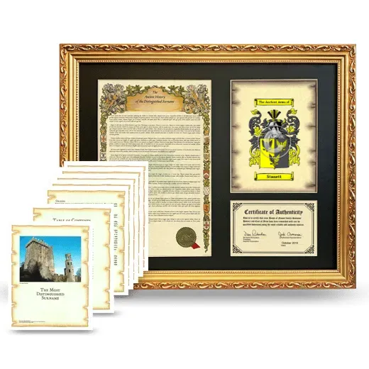 Stanett Framed History And Complete History - Gold