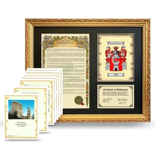 Toli Framed History And Complete History - Gold