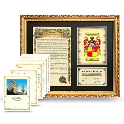 Vallin Framed History And Complete History - Gold