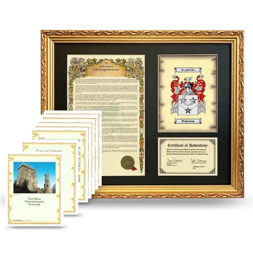 Waleston Framed History And Complete History - Gold