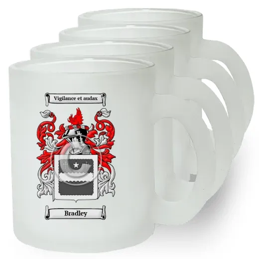 Bradley Set of 4 Frosted Glass Mugs
