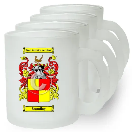 Bramilay Set of 4 Frosted Glass Mugs