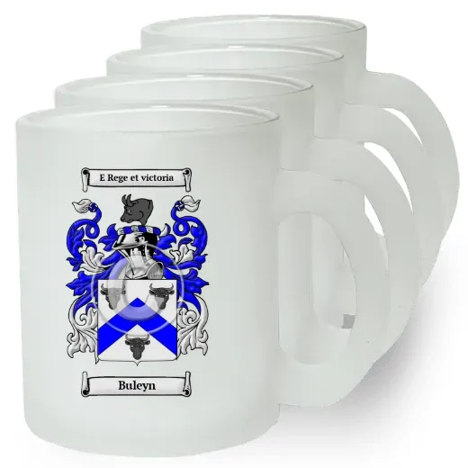 Buleyn Set of 4 Frosted Glass Mugs