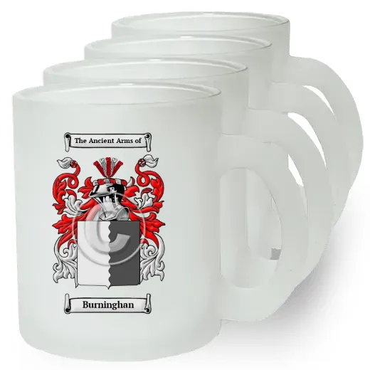 Burninghan Set of 4 Frosted Glass Mugs