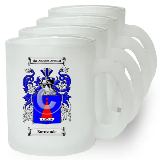 Burnstade Set of 4 Frosted Glass Mugs