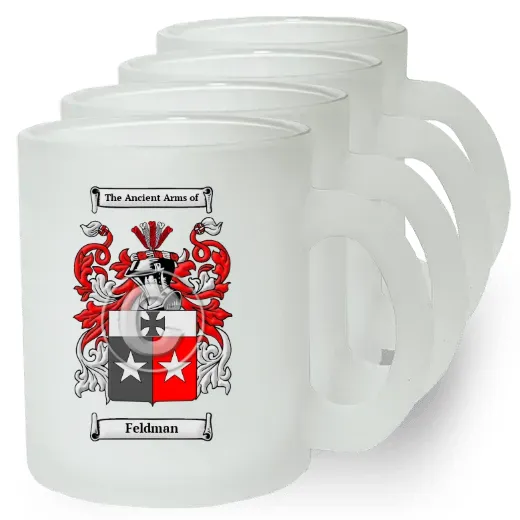 Feldman Set of 4 Frosted Glass Mugs