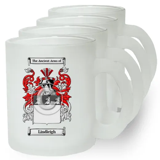 Lindleigh Set of 4 Frosted Glass Mugs