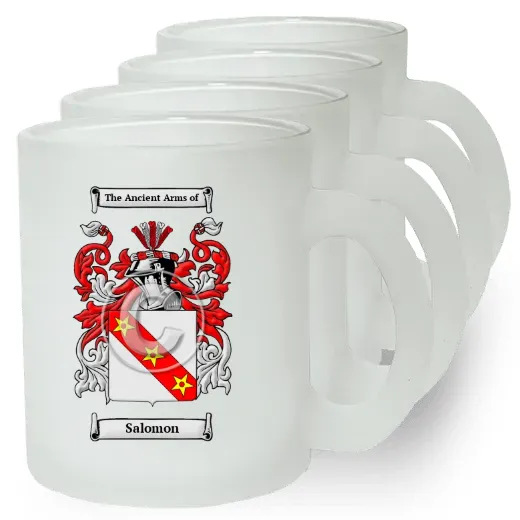 Salomon Set of 4 Frosted Glass Mugs
