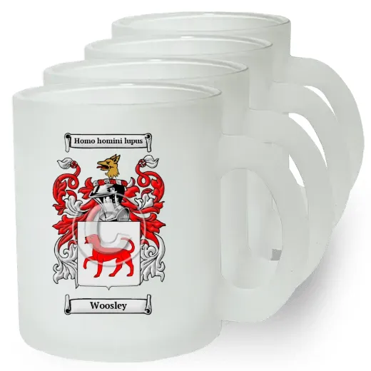 Woosley Set of 4 Frosted Glass Mugs