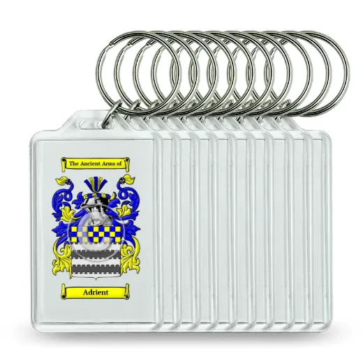 Adrient Set of 10 Keychains