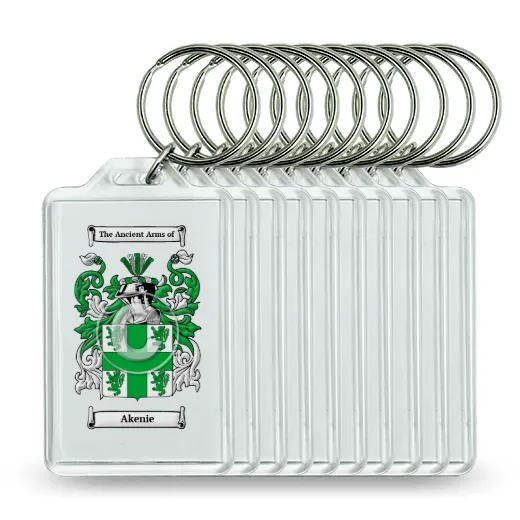 Akenie Set of 10 Keychains