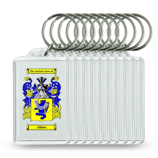 Albien Set of 10 Keychains