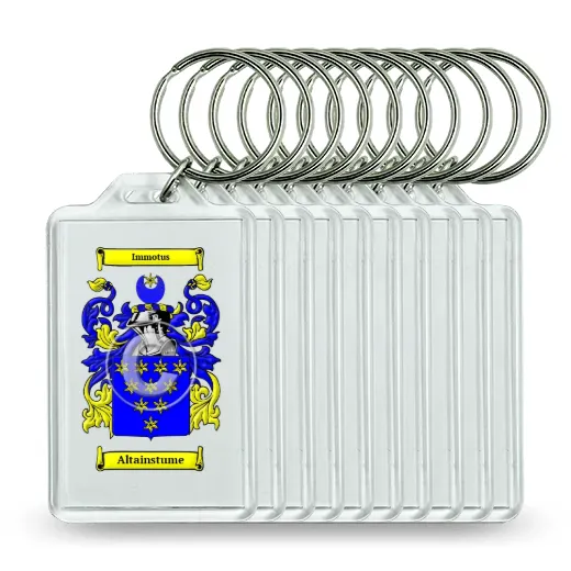 Altainstume Set of 10 Keychains