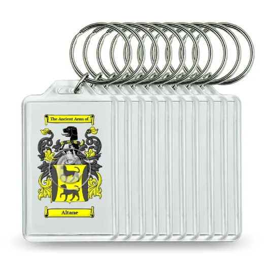 Altane Set of 10 Keychains