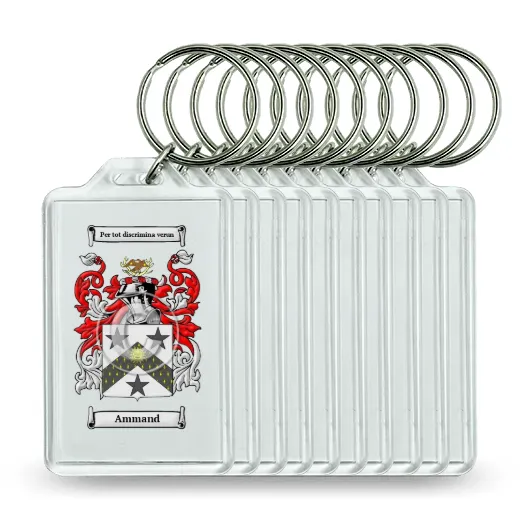 Ammand Set of 10 Keychains