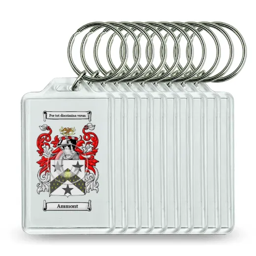 Ammont Set of 10 Keychains