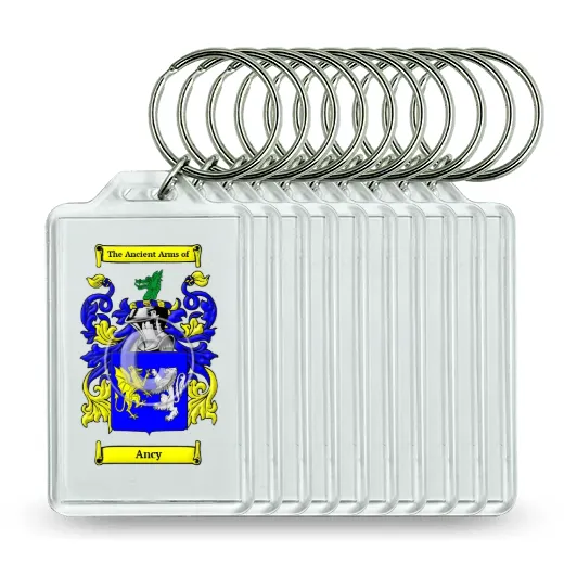 Ancy Set of 10 Keychains