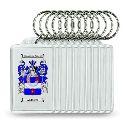 Andrusyk Set of 10 Keychains