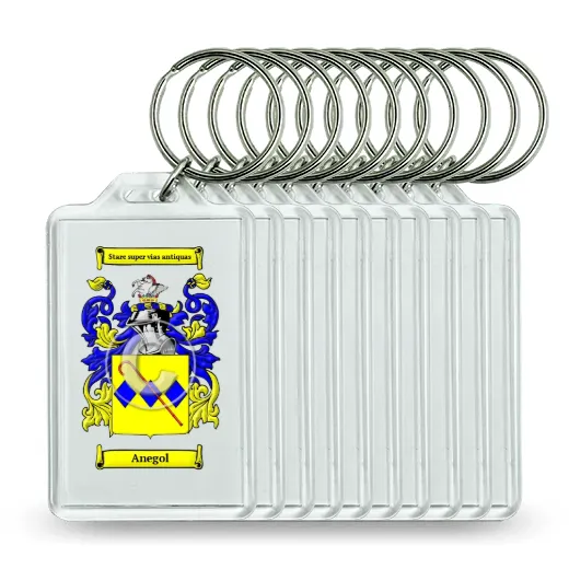 Anegol Set of 10 Keychains