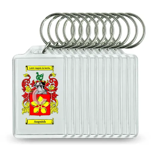 Anguish Set of 10 Keychains