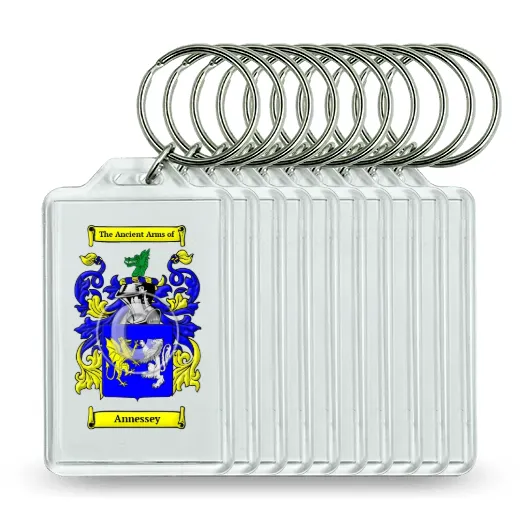 Annessey Set of 10 Keychains