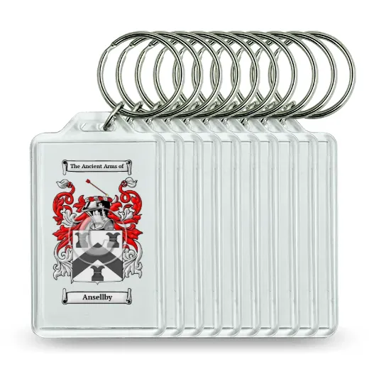 Ansellby Set of 10 Keychains