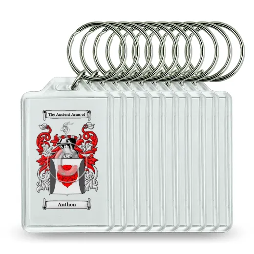 Anthon Set of 10 Keychains